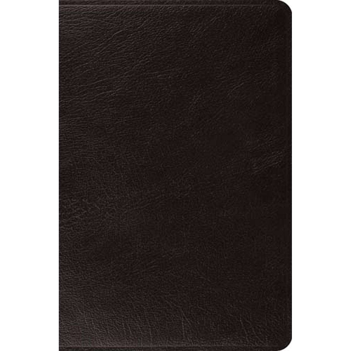 ESV Large Print Bible Leather With Ribbon Marker Black (Genuine Leather)