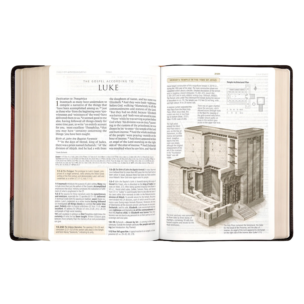 ESV Study Bible Large Print (Trutone Brown / Cordovan Portfolio Design)(Imitation Leather)