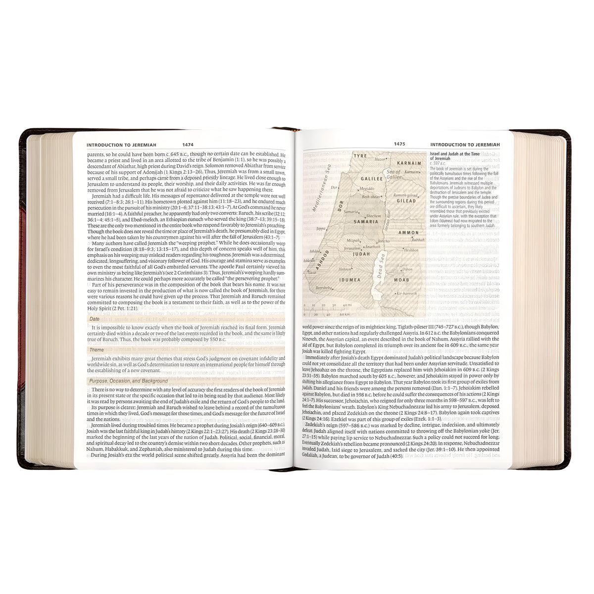 ESV Study Bible Large Print (Trutone Brown / Cordovan Portfolio Design)(Imitation Leather)