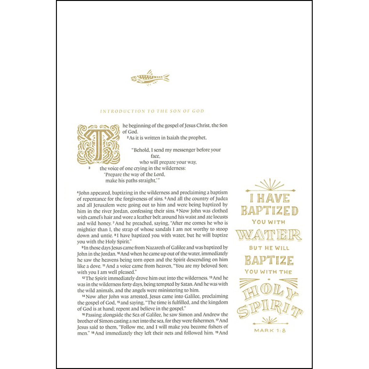 ESV Illuminated Bible Art Journaling Edition (Hardcover)