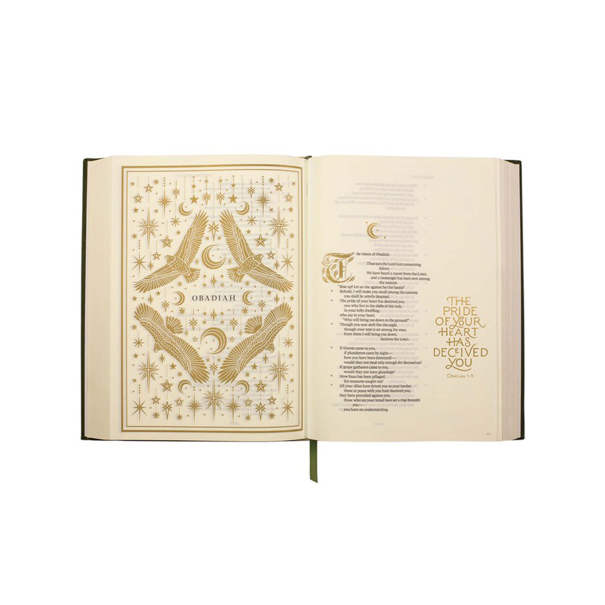 ESV Illuminated Bible Art Journaling Edition (Hardcover)