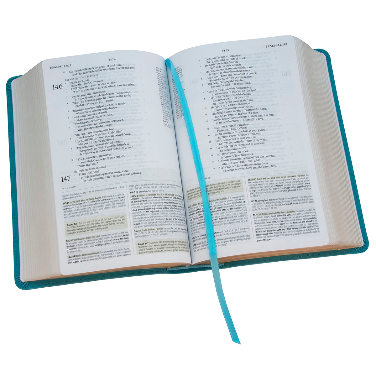 ESV Study Bible Personal Size Turquoise / Emblem (Imitation Leather)