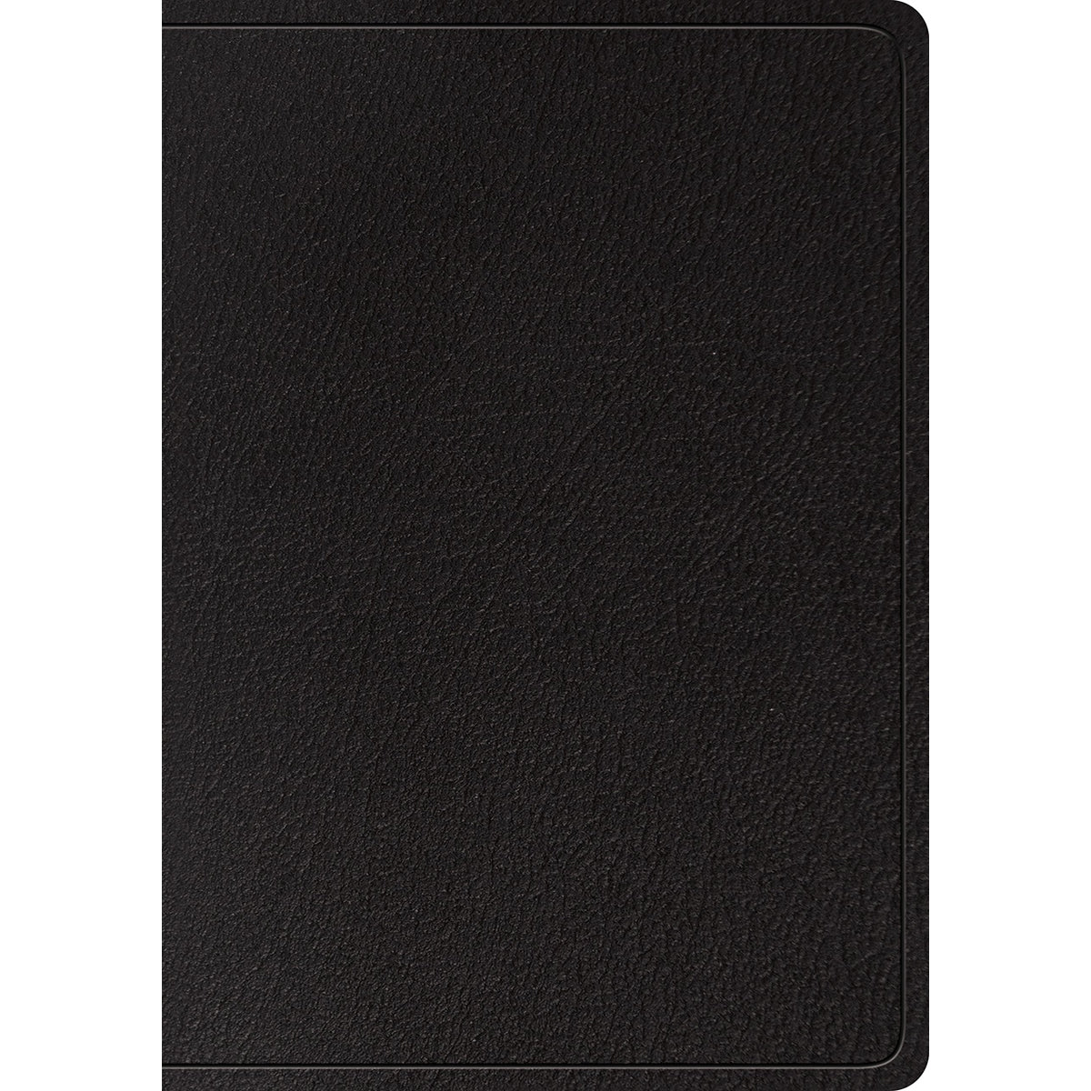 ESV Large Print Wide Margin Bible Black (Genuine Leather)