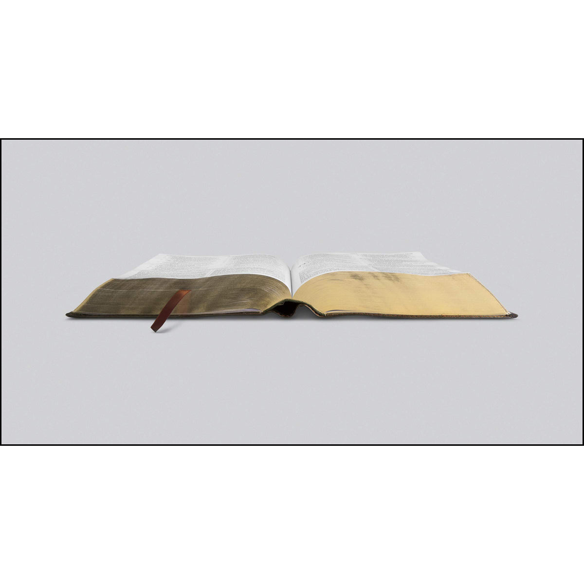 ESV Study Bible Large Print Forest / Tan Trail Design (Imitation Leather)