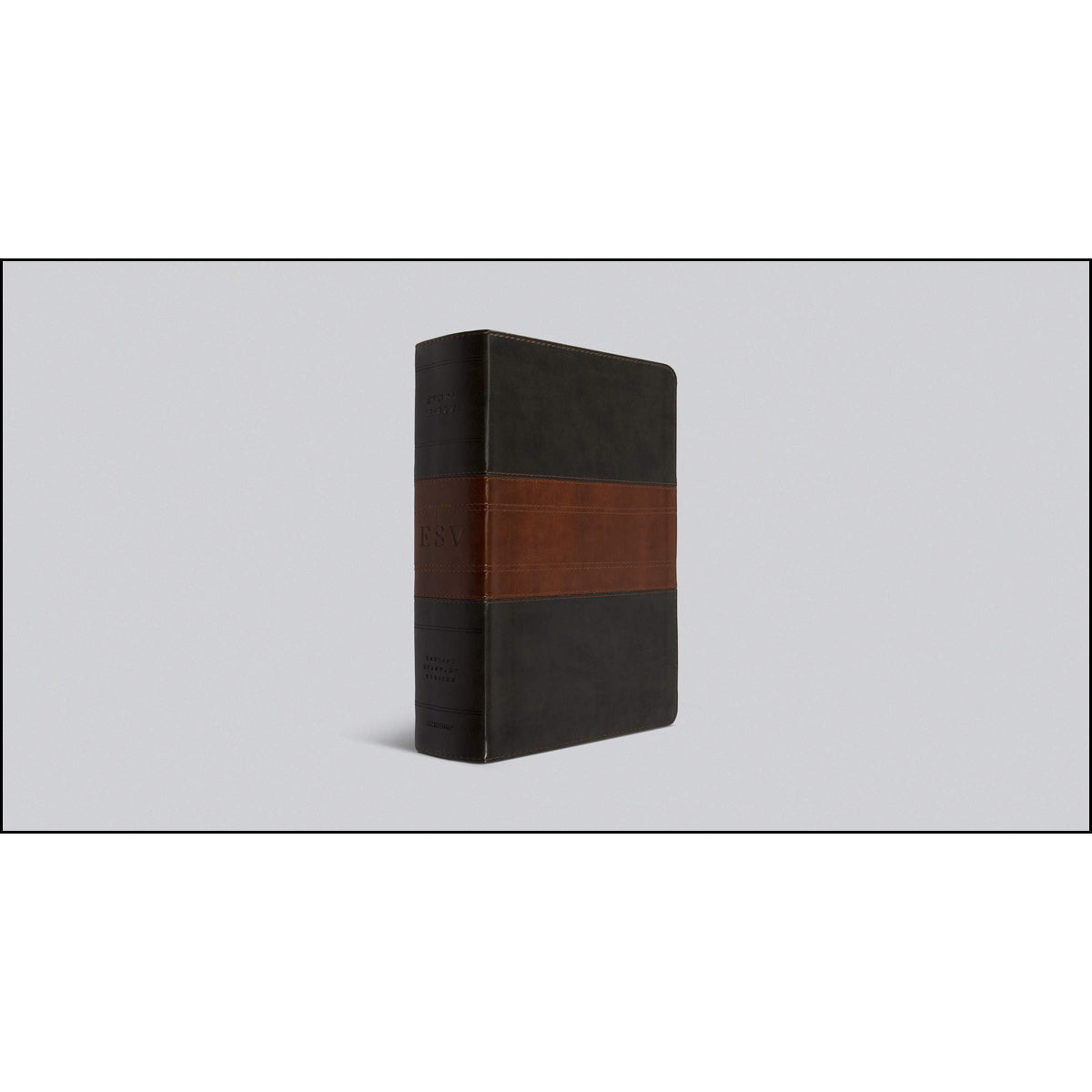 ESV Study Bible Large Print Forest / Tan Trail Design (Imitation Leather)
