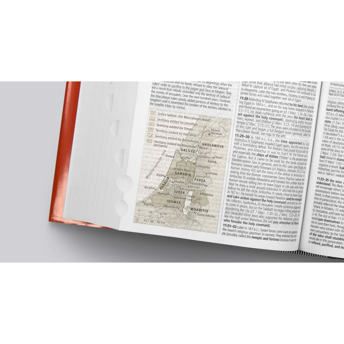 ESV Study Bible Large Print Indexed (Hardcover)