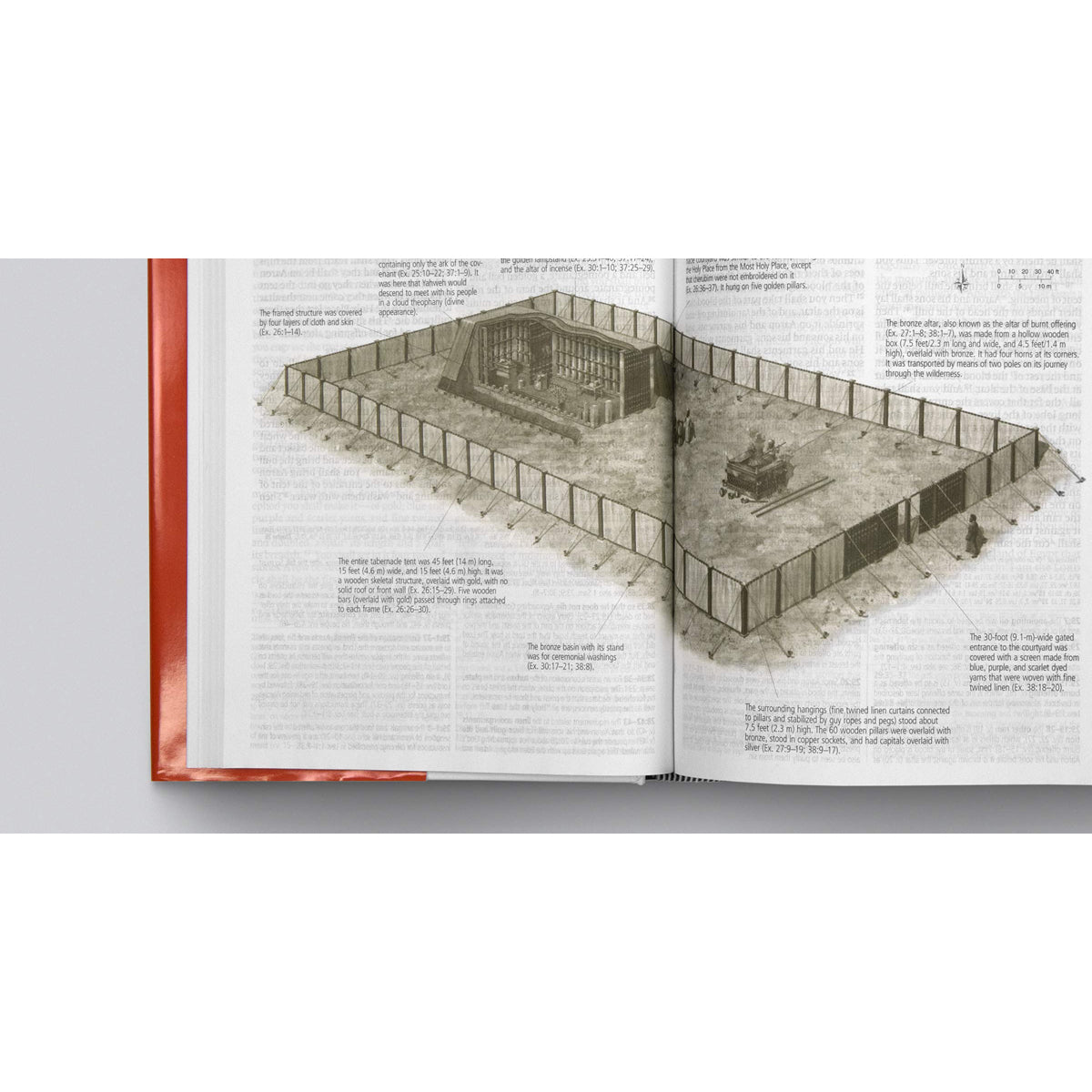 ESV Study Bible Large Print Indexed (Hardcover)