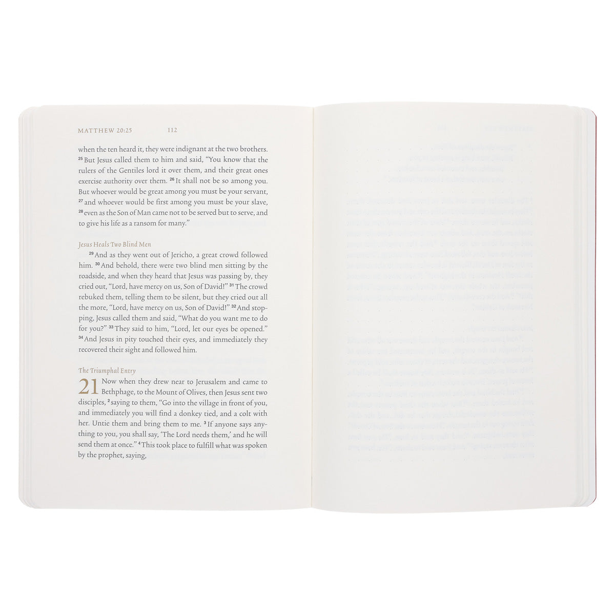 ESV Paperback Illuminated Scripture Journal New Testament Set