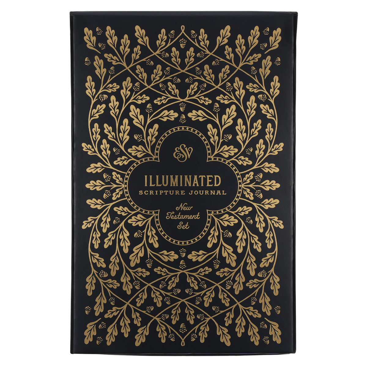 ESV Paperback Illuminated Scripture Journal New Testament Set