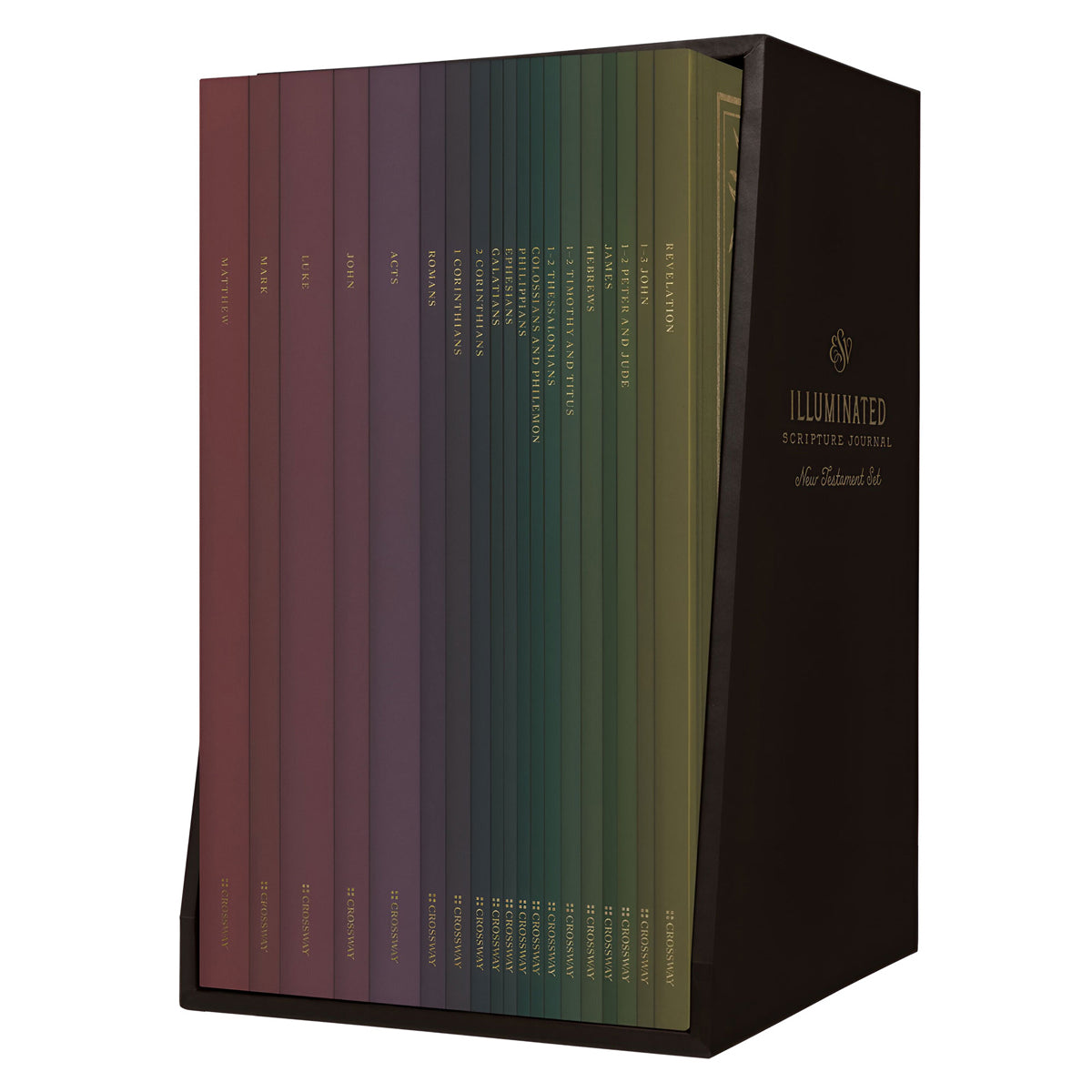 ESV Paperback Illuminated Scripture Journal New Testament Set