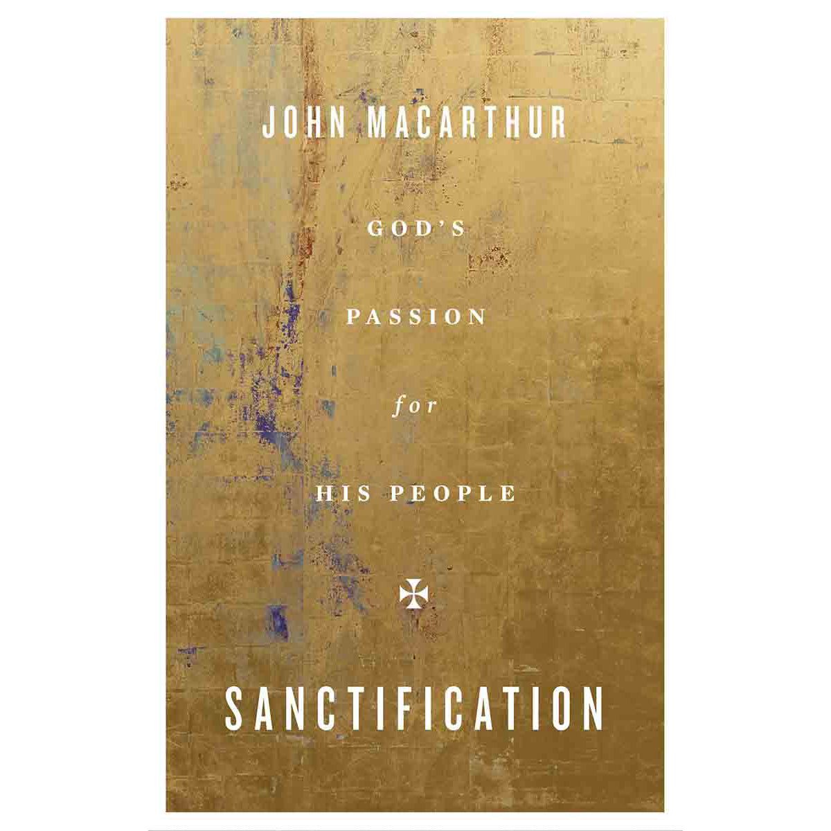 Sanctification: God's Passion For His People (Paperback)