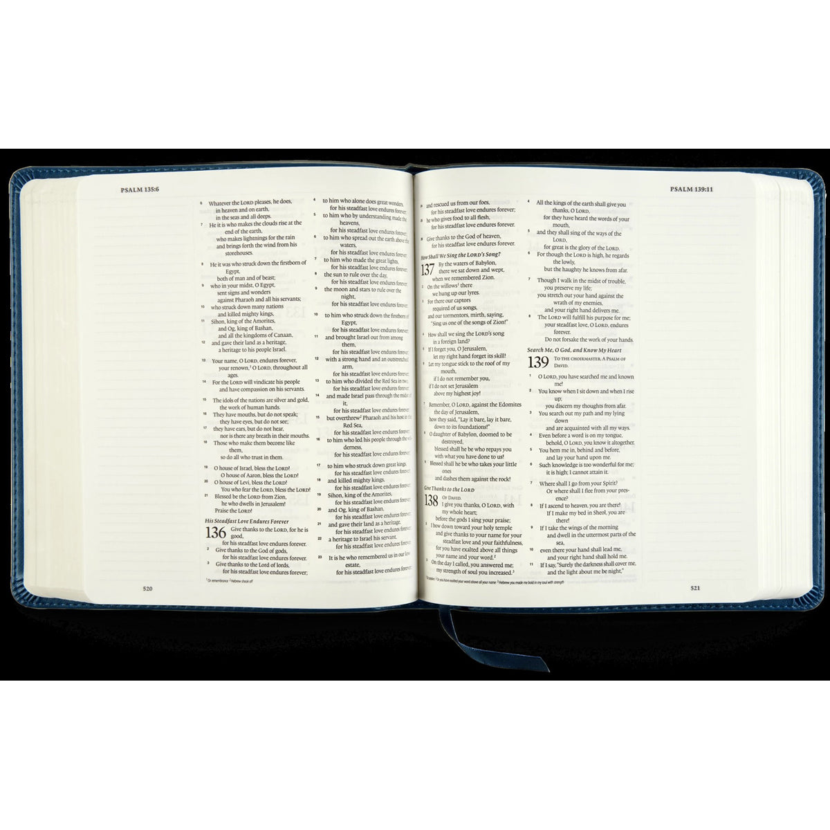 ESV Journaling Bible Fleur-De-Lis Design Deep Teal (Imitation Leather)