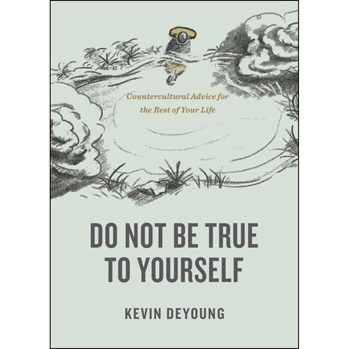 Do Not Be True To Yourself: Countercultural Advice For The Rest Of Your Life (Paperback)