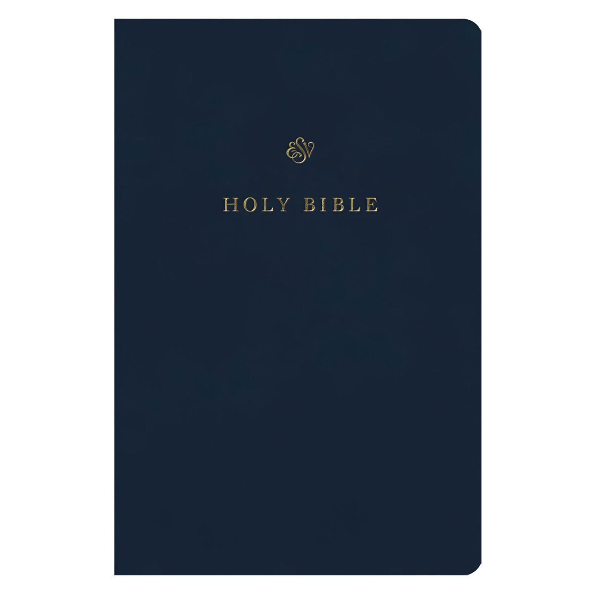 ESV Blue Imitation Leather Gift and Award Bible