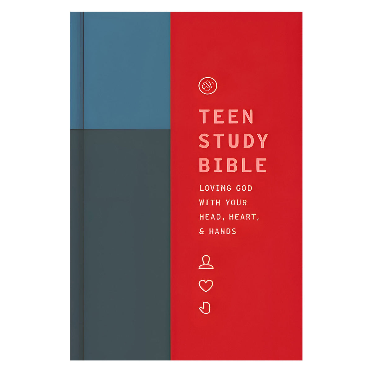 ESV Teen Study Bible Cliffside (Hardcover)