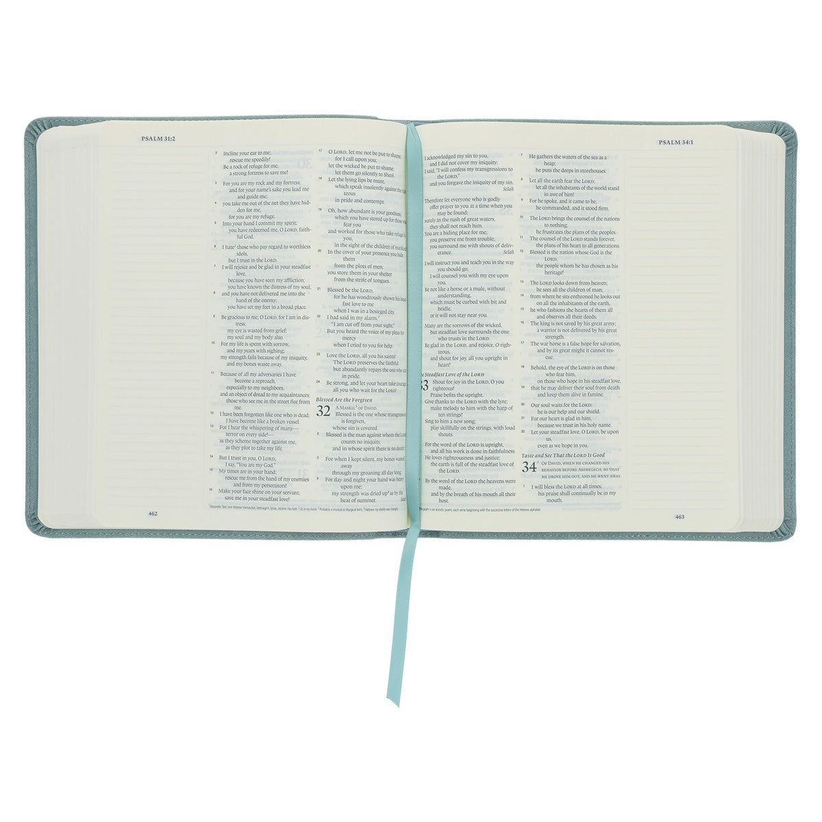 ESV Paris Sky Emblem Design Imitation Leather Journaling Bible