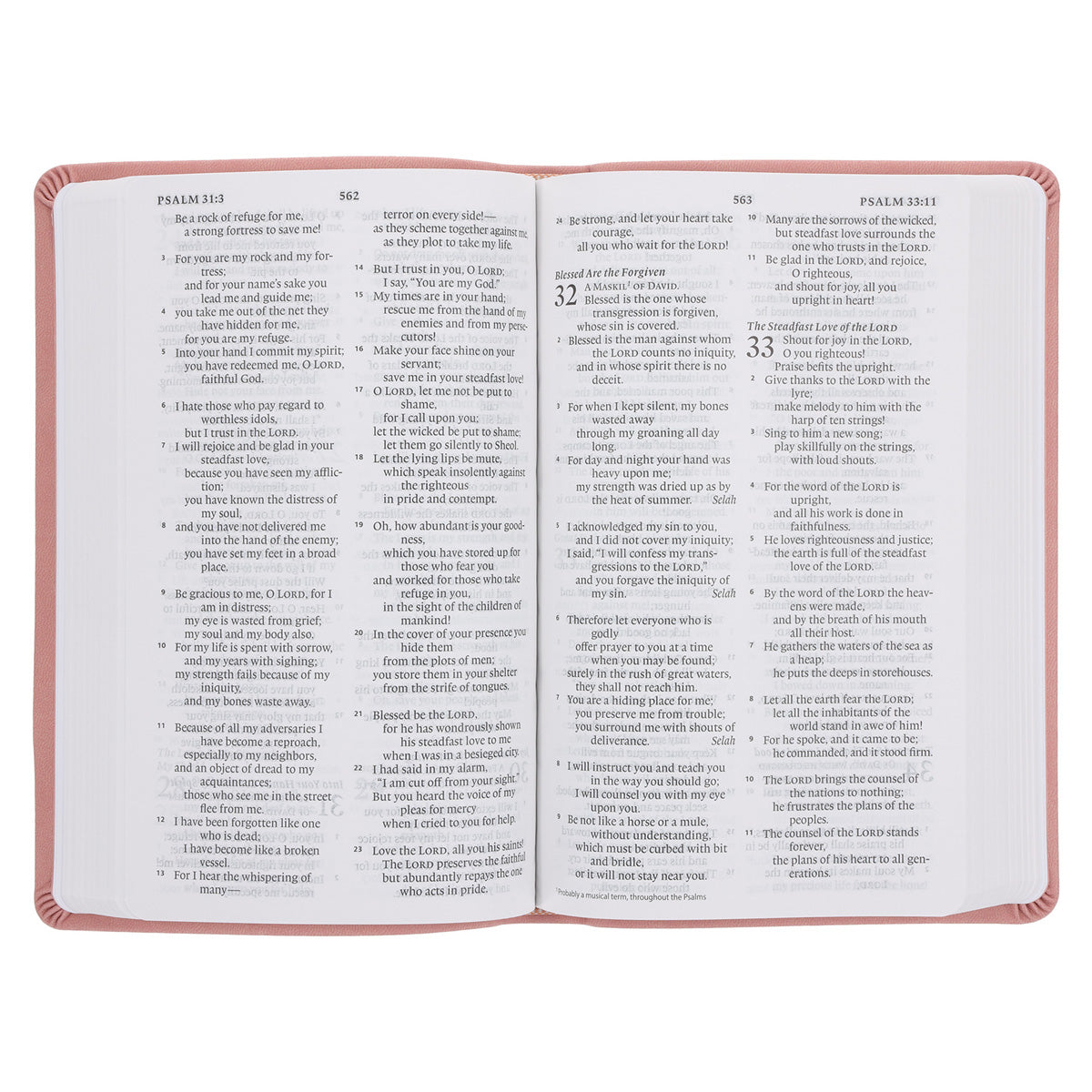 ESV Blush Rose Fleur-de-lis Design Imitation Leather Value Thinline Bible Large Print