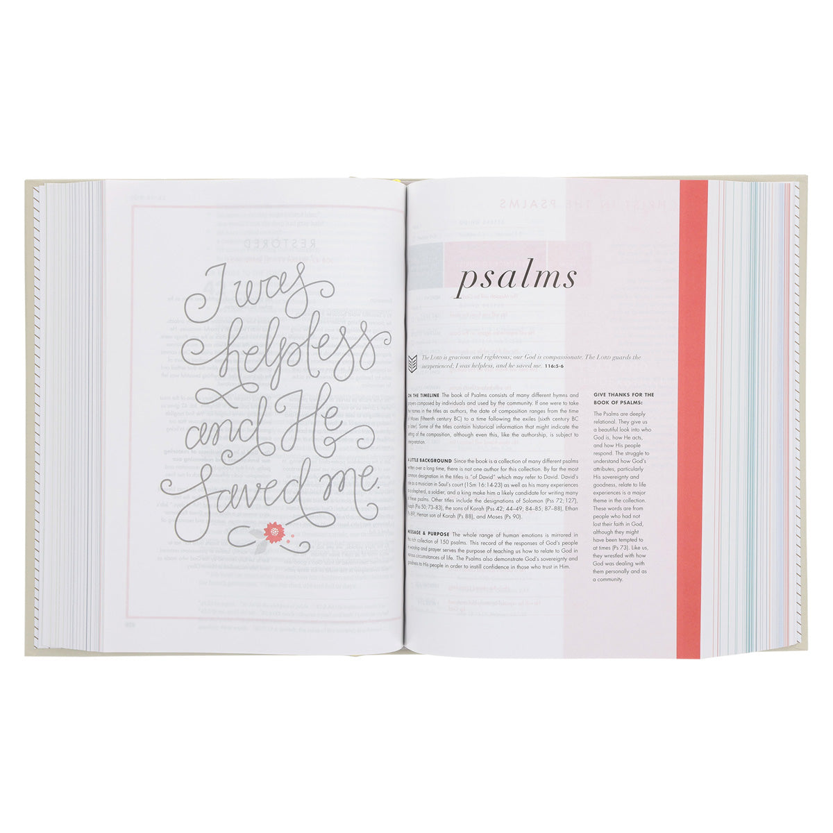 CSB She Reads Truth Bible Beige (Hardcover)