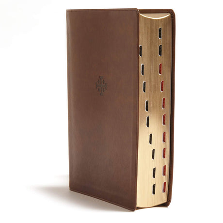 CSB Life Connections Study Bible Indexed Brown (Imitation Leather)