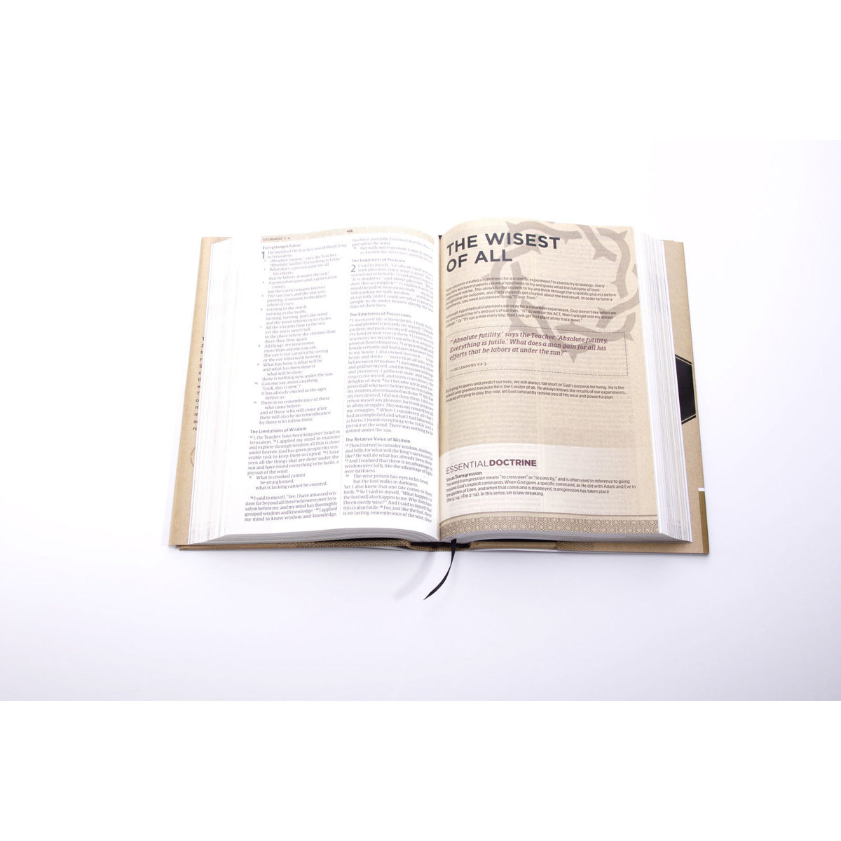 CSB Essential Teen Study Bible (Hardcover)