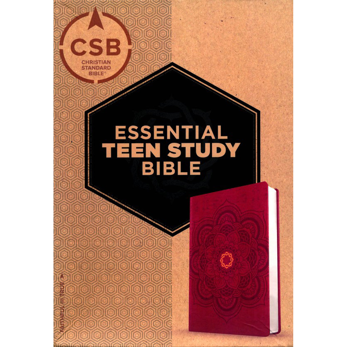 CSB Essential Teen Study Bible Red Flower Cork (Imitation Leather)