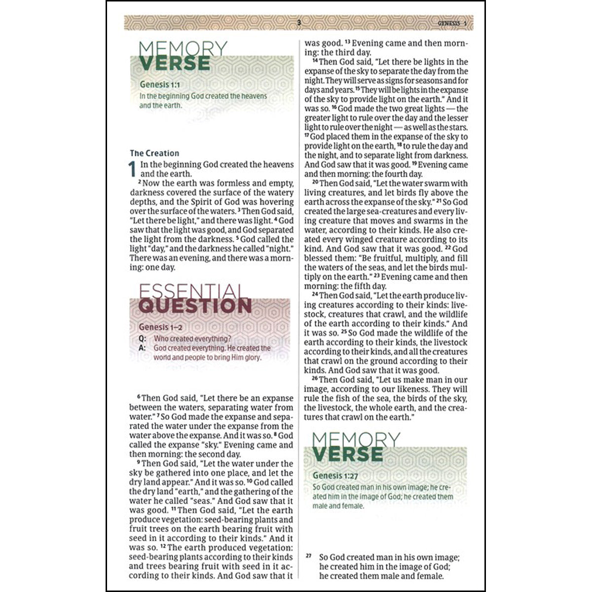 CSB Essential Teen Study Bible Red Flower Cork (Imitation Leather)