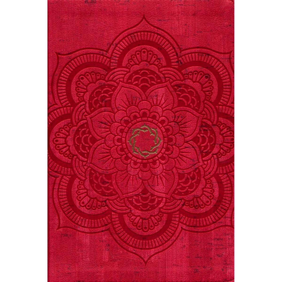 CSB Essential Teen Study Bible Red Flower Cork (Imitation Leather)