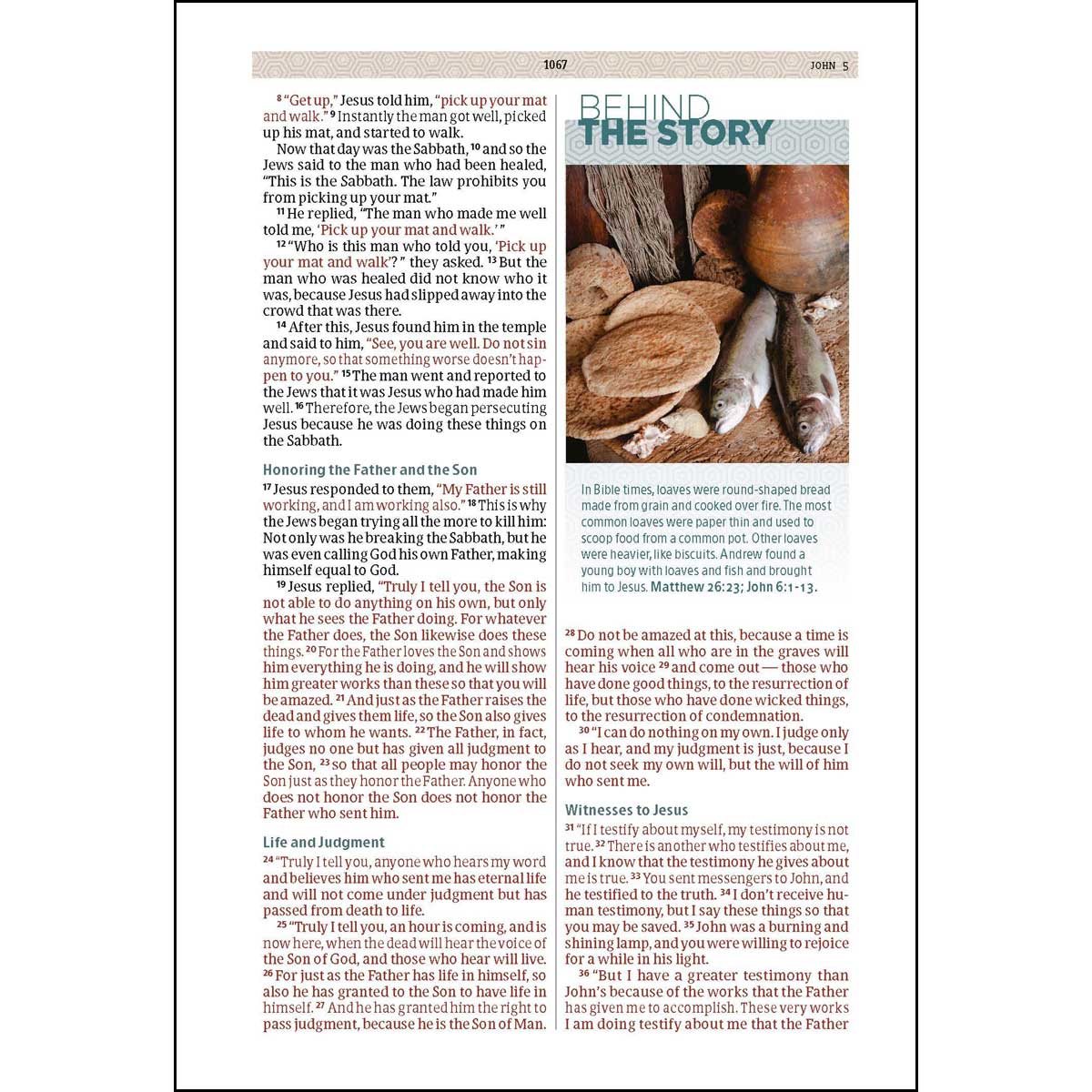 CSB Weathered Gray Cork Imitation Leather Essential Teen Study Bible