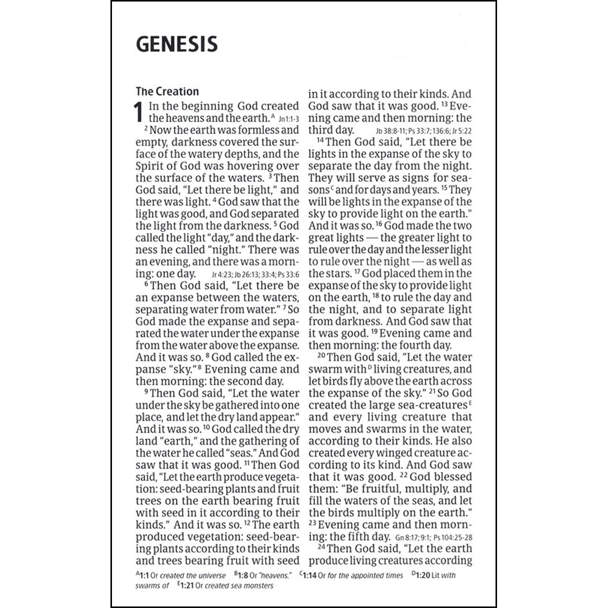 CSB Sportsmans Large Print Compact Bible Edition (Imitation Leather)