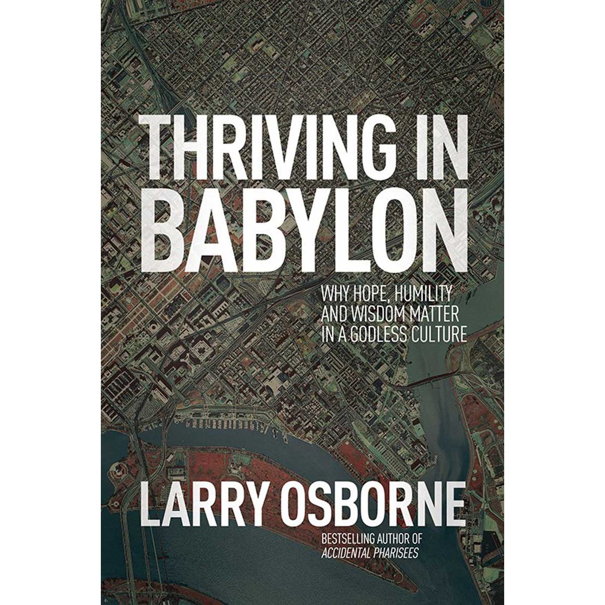Thriving In Babylon (Paperback)
