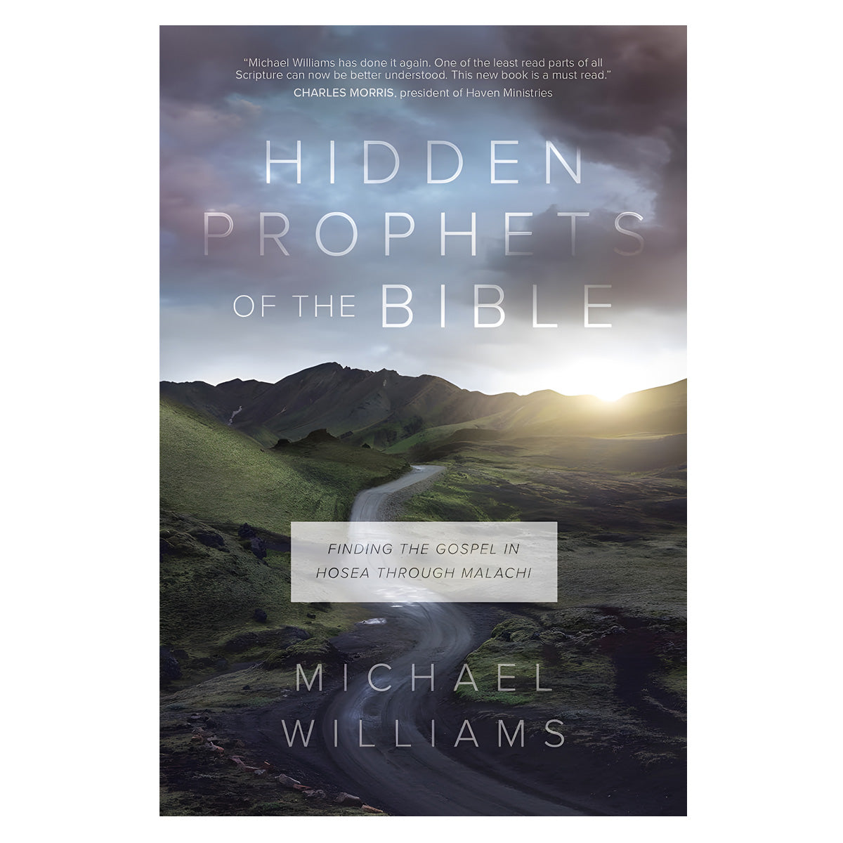 Hidden Prophets Of The Bible (Paperback)