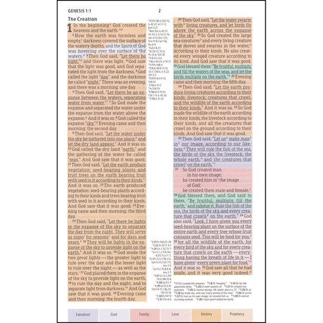 CSB Rainbow Study Bible Indexed Black Tan (Imitation Leather)