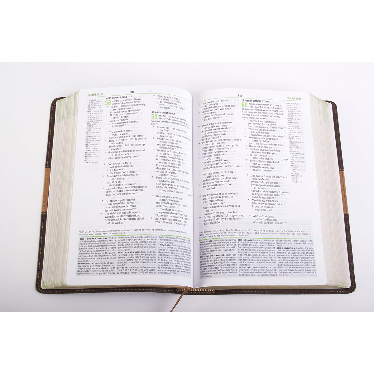 CSB Disciples Study Bible Brown Tan (Imitation Leather)