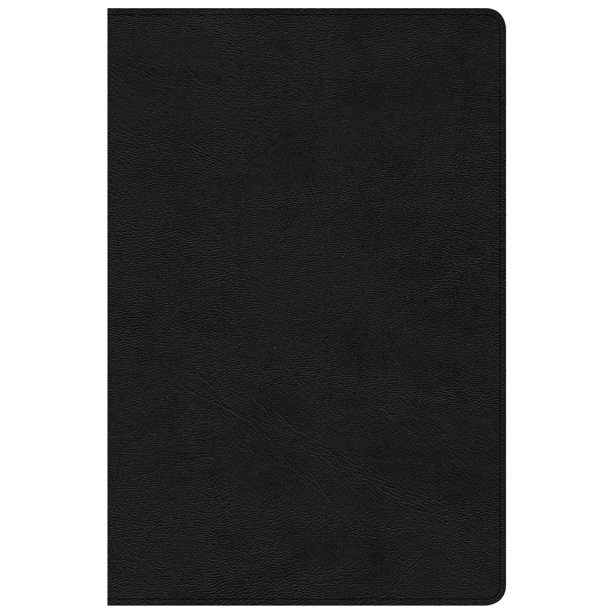 CSB Disciples Study Bible Black (Imitation Leather)