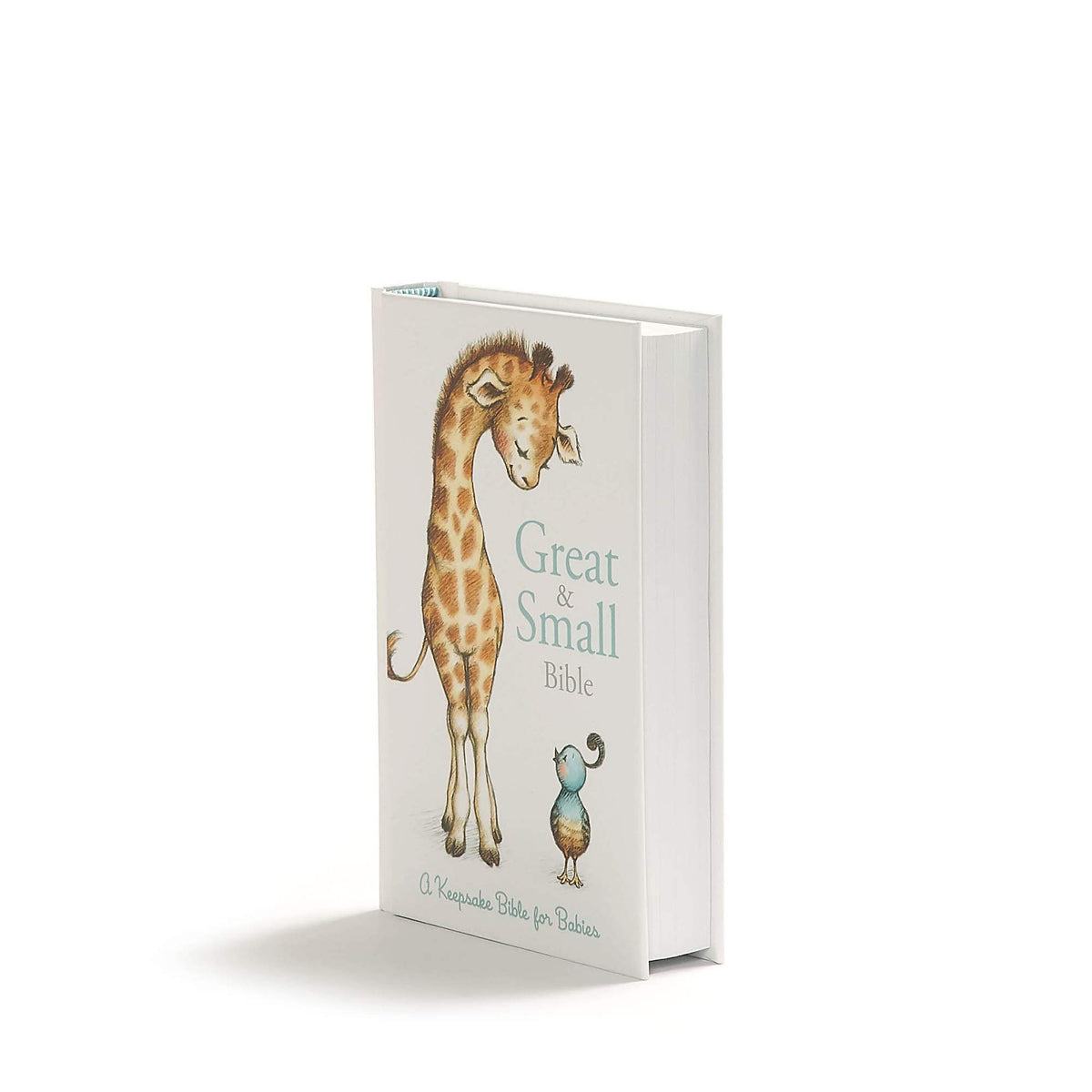 CSB Great And Small Bible A Keepsake Bible For Babies Boxed (Hardcover)