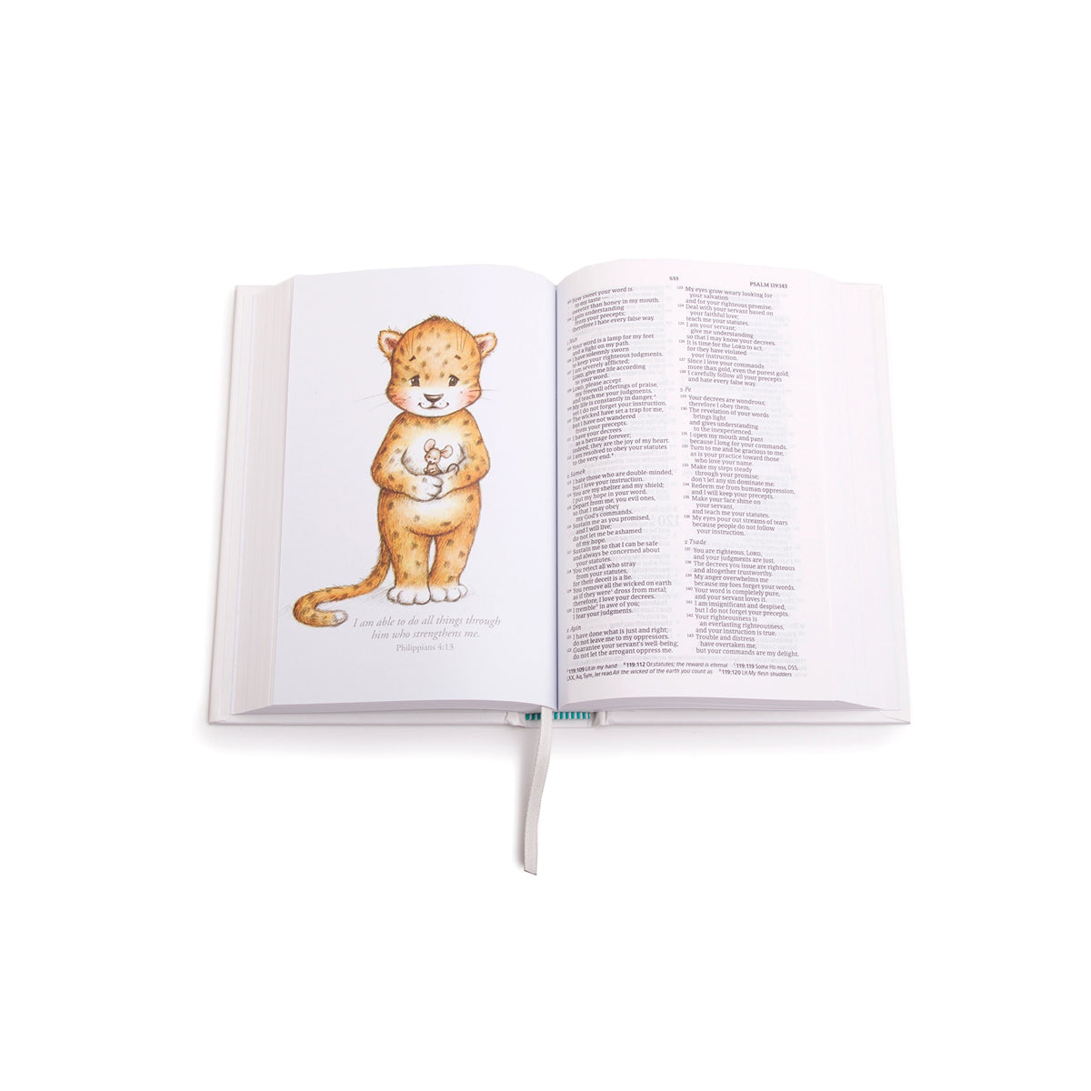 CSB Great And Small Bible A Keepsake Bible For Babies Boxed (Hardcover)