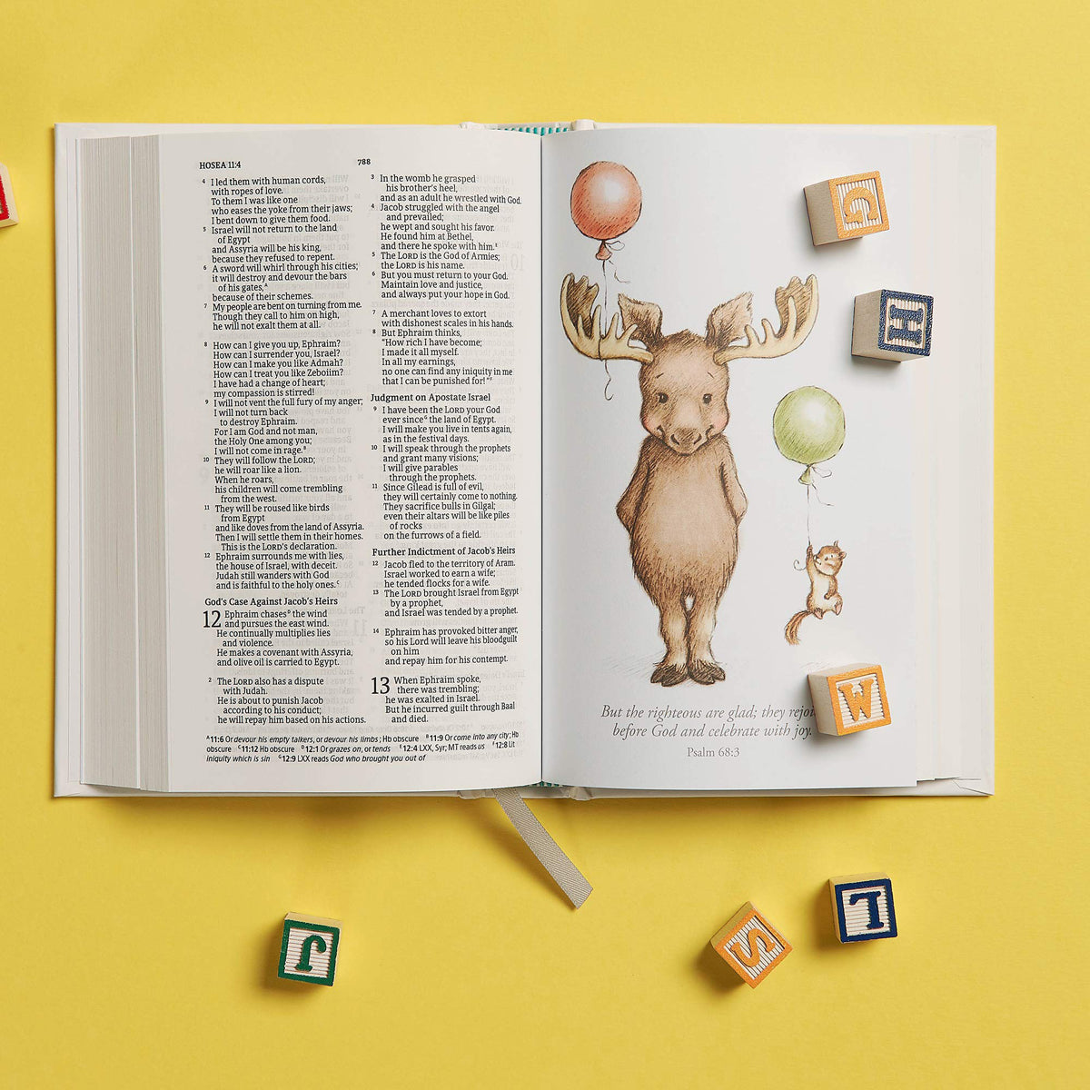 CSB Great And Small Bible A Keepsake Bible For Babies Boxed (Hardcover)