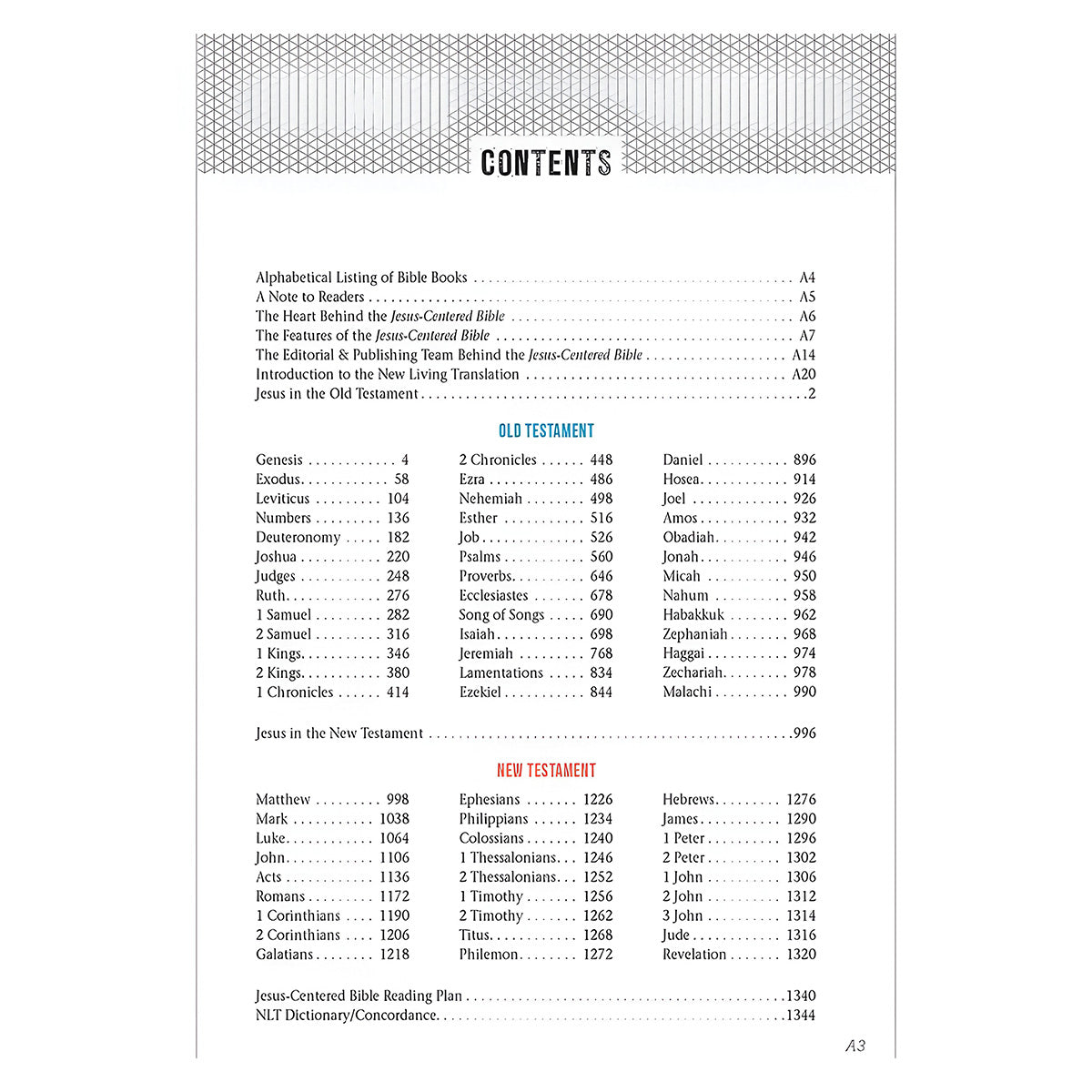 NLT Charcoal Imitation Leather Jesus-Centered Bible