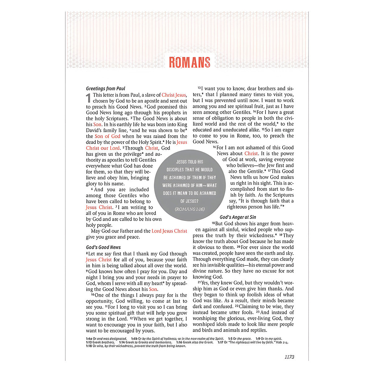 NLT Charcoal Imitation Leather Jesus-Centered Bible