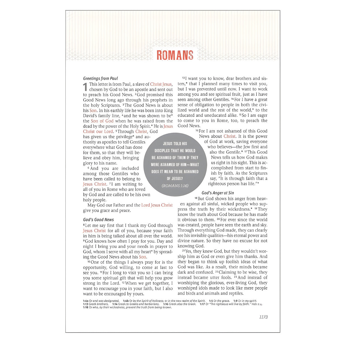 NLT Pink Imitation Leather Jesus-Centered Bible