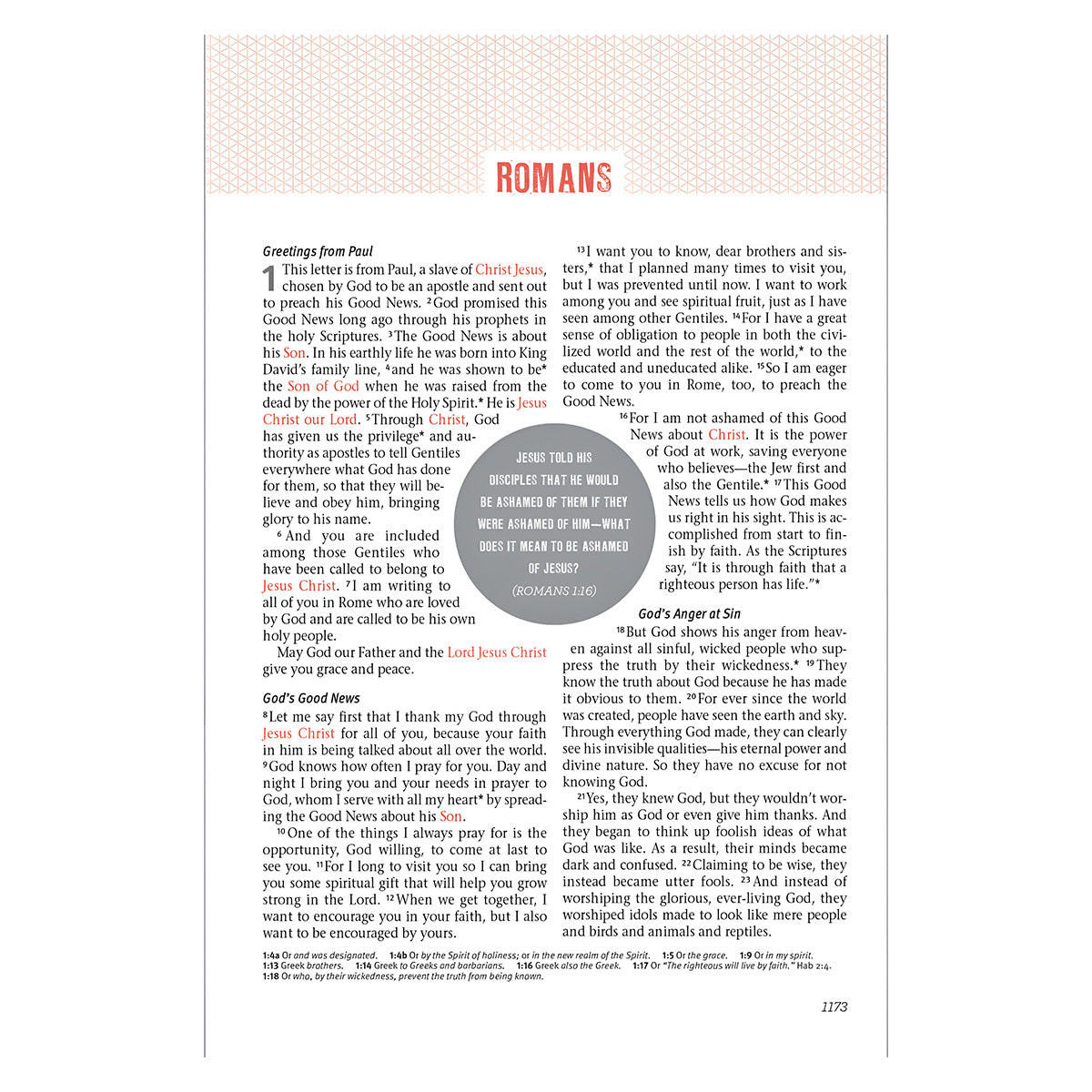 NLT Dark Brown Imitation Leather Jesus-Centered Bible