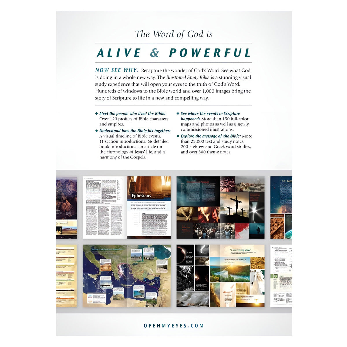 NLT Illustrated Study Bible (Hardcover)