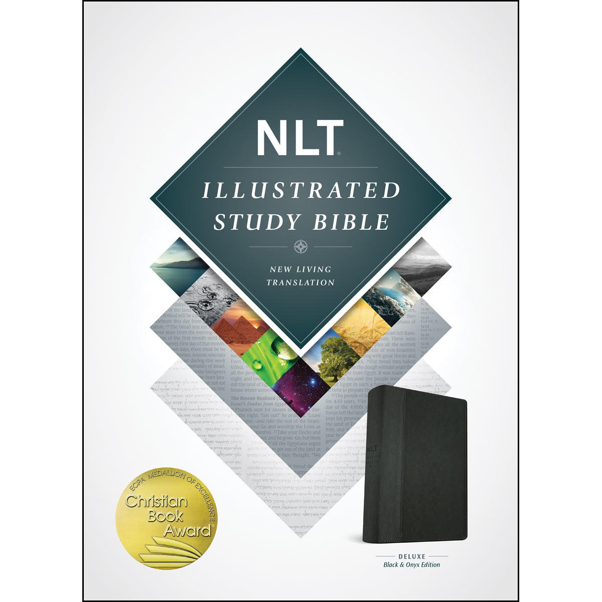 NLT Illustrated Study Bible Black / Onyx (Imitation Leather)