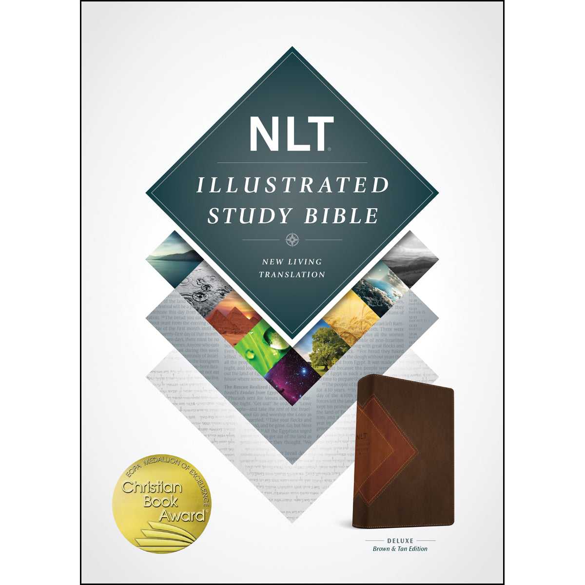 NLT Illustrated Study Bible Brown / Tan (Imitation Leather)
