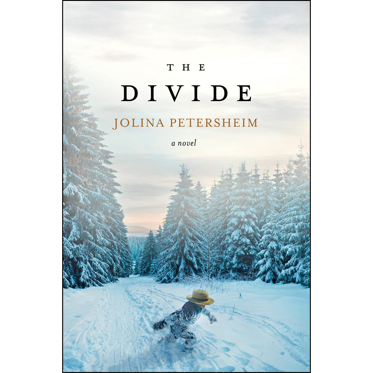 The Divide (2 The Alliance)(Paperback)