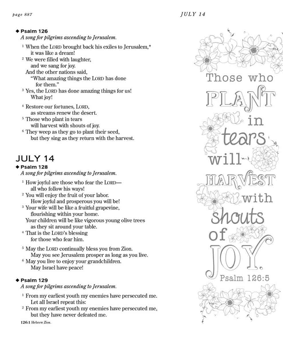 NLT The One Year Chronological Bible Expressions (Paperback)