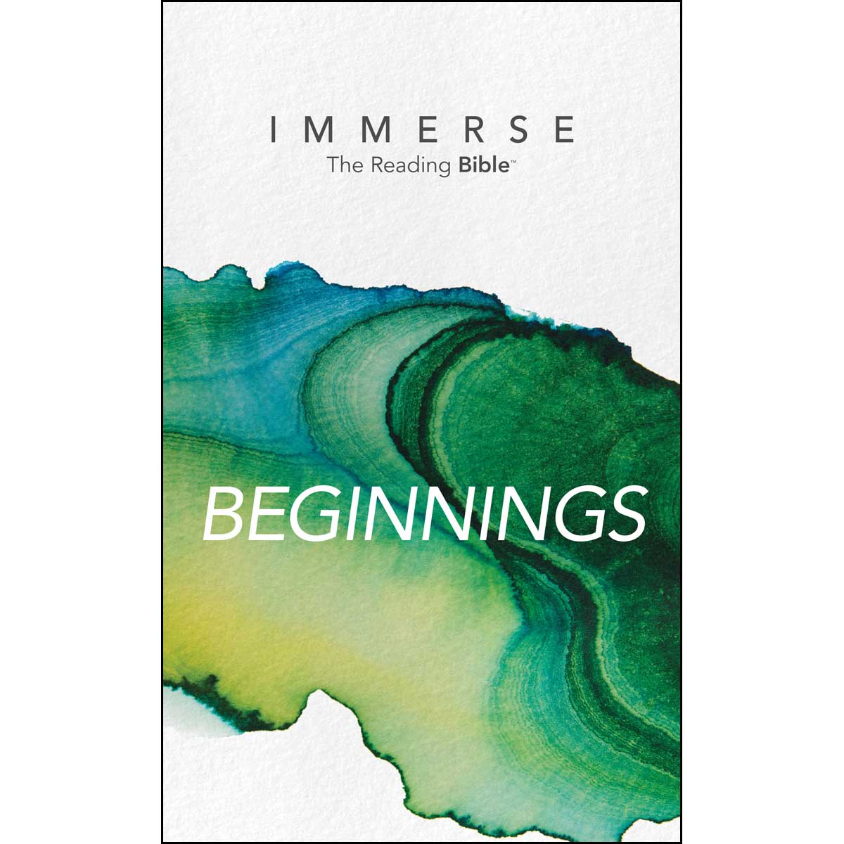 NLT Immerse Beginnings (Paperback)