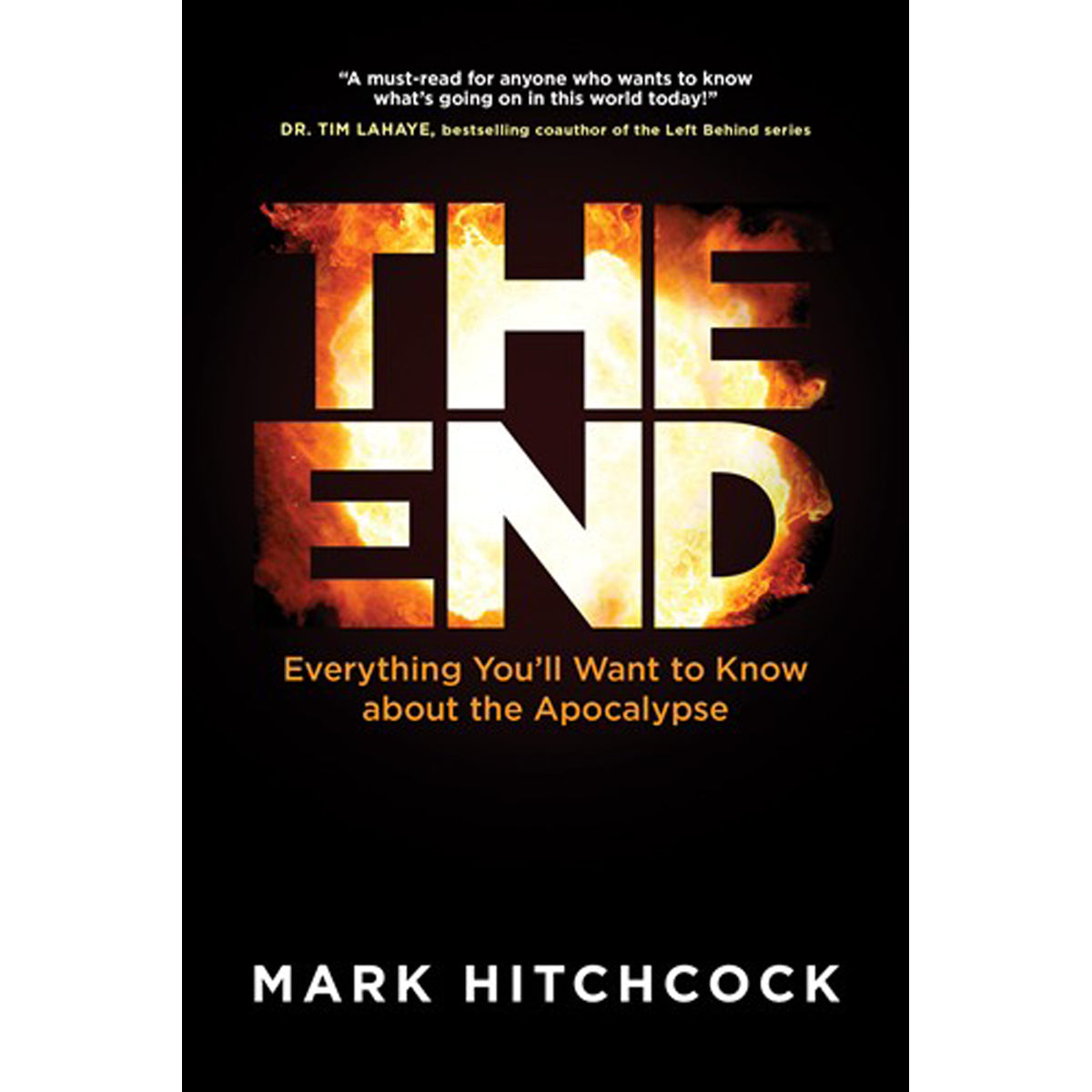 The End (Paperback)
