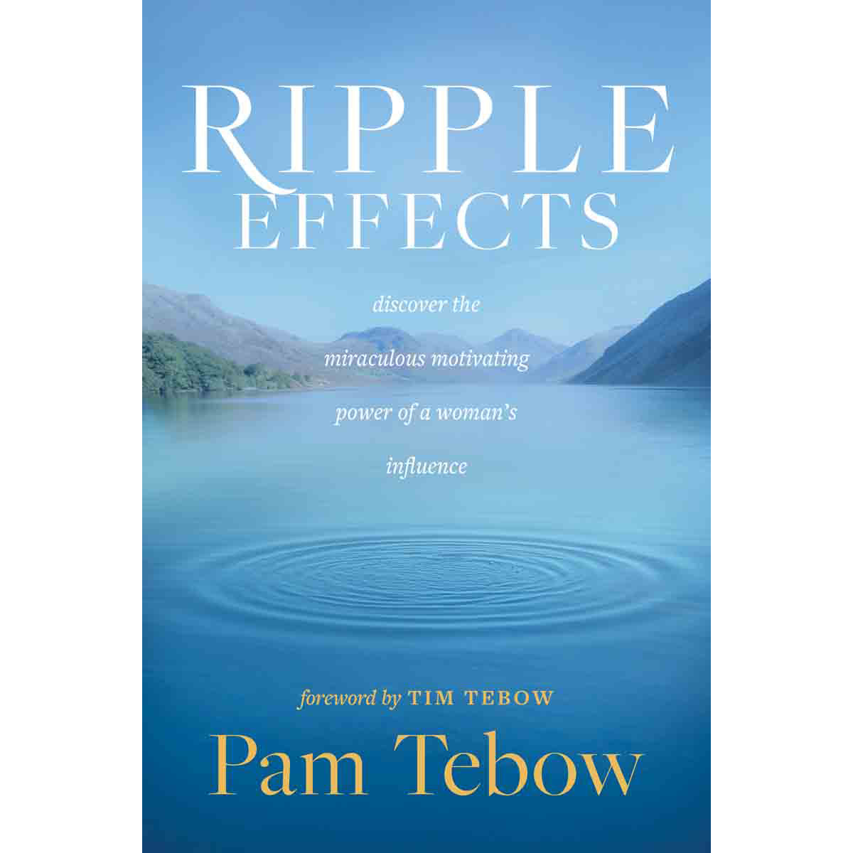 Ripple Effects (Paperback)