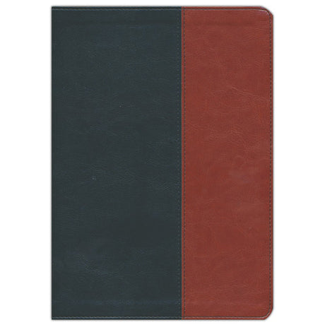 NIV Every Man's Bible Large Print Black / Tan (Imitation Leather)